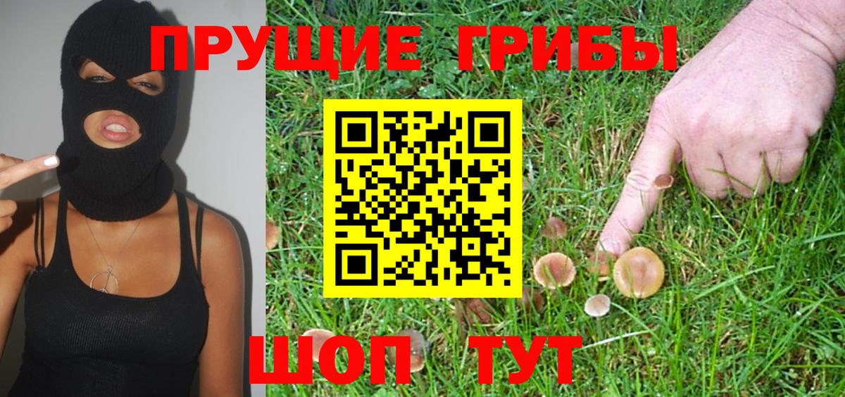 Псилоцибиновые грибы мухоморы Калуга